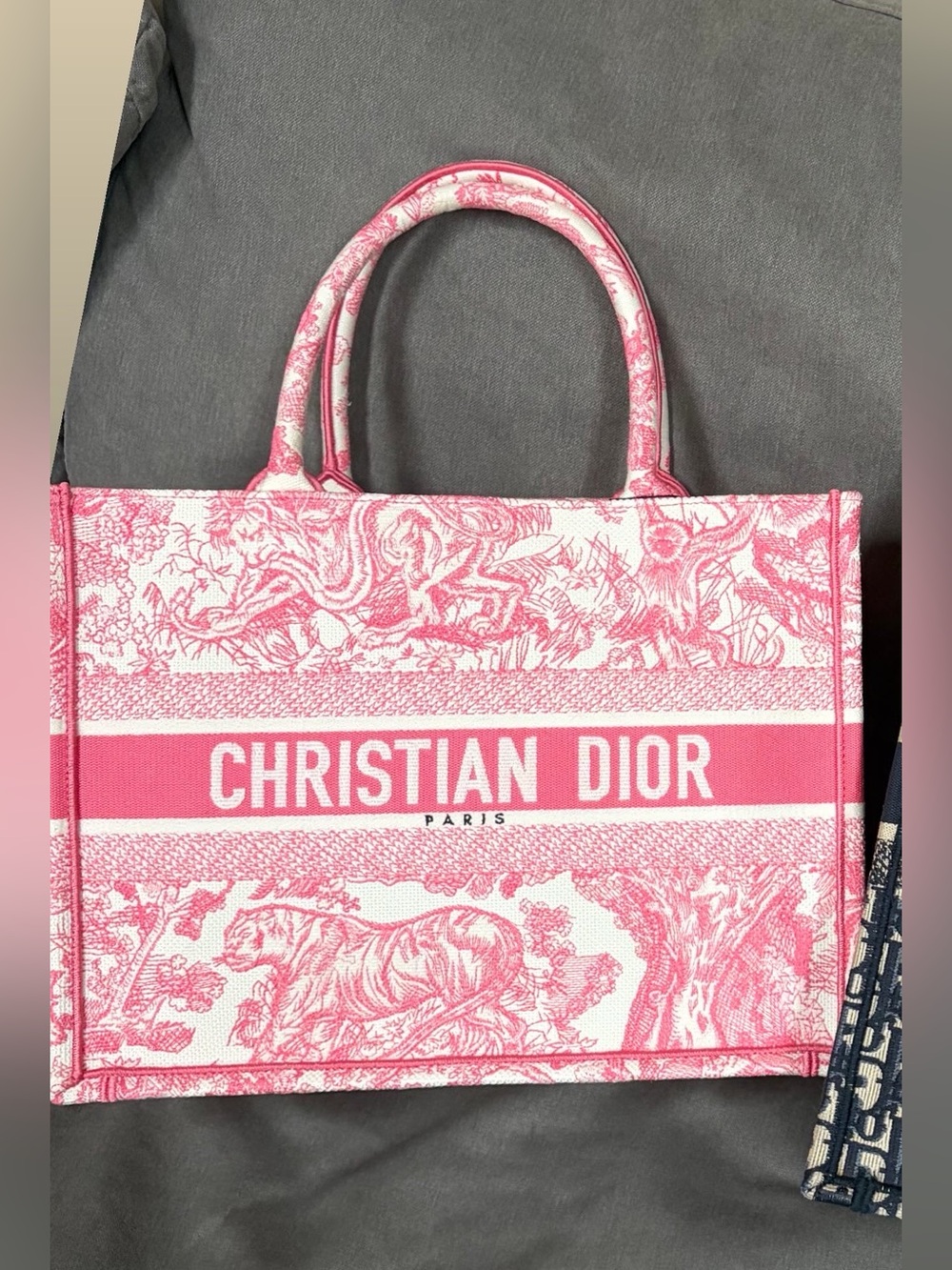 Christian Dior book tote